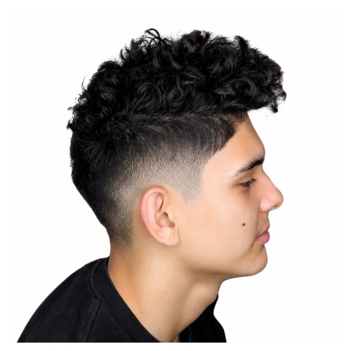 Long curly top with low fade hairstyle featuring longer natural curls on top, full volume, and a clean low fade along the sides and neckline